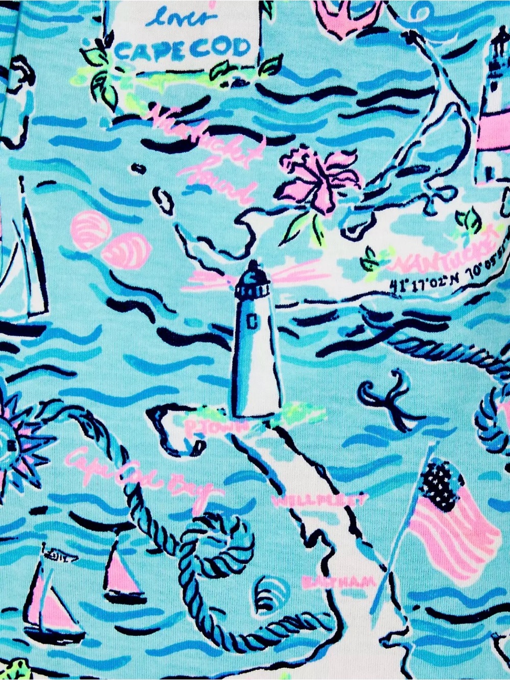 Brand New Lilly Pulitzer Kristen Swing Dress Bali Blue Lilly Loves Cape Cod - Picture 4 of 6